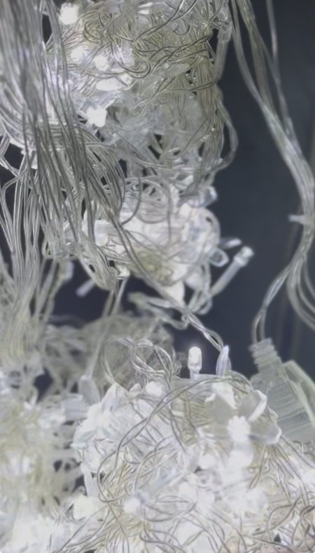 شلال ورد ابيض 50م