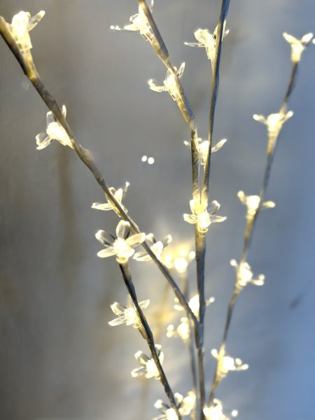 شجرة لون صحراوي